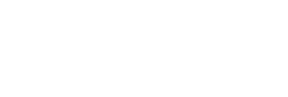 Probe Security