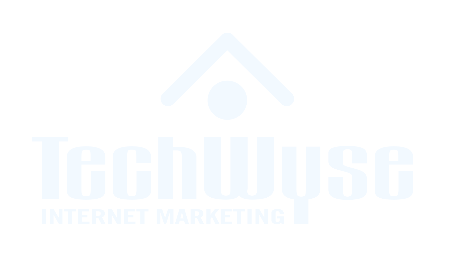 TechWyse Internet Marketing